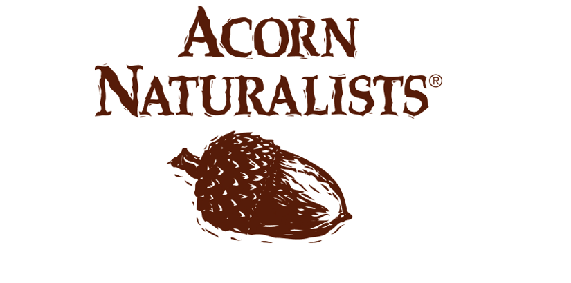 Acorn logo