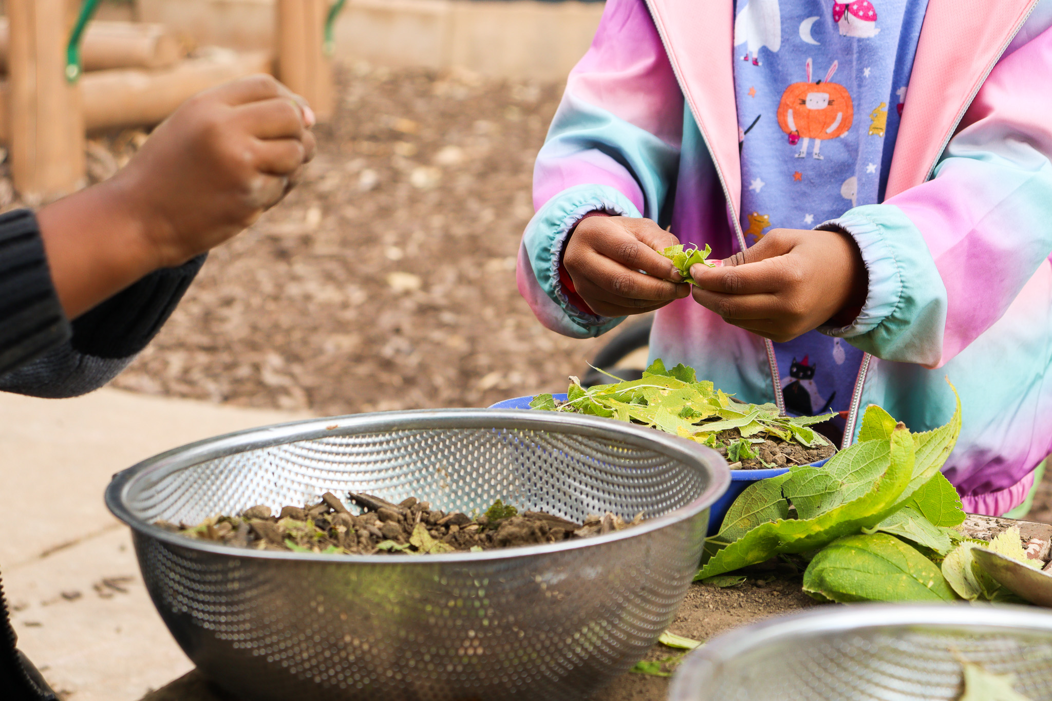 children's hands making a dish using natural materials