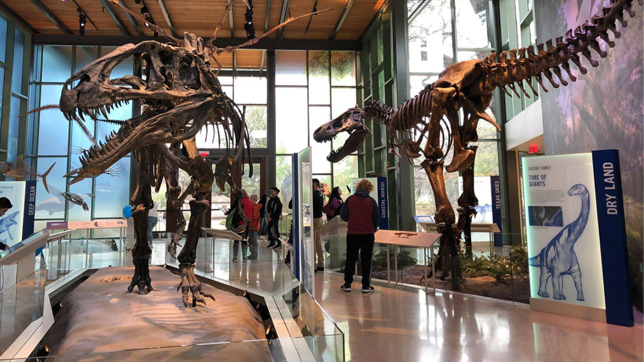The Witte Museum exhibit