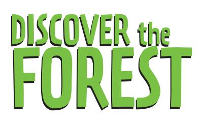 Discover the Forest