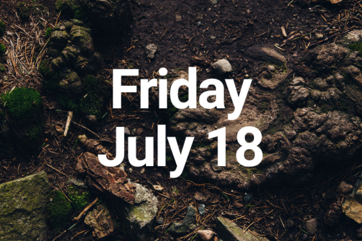 Friday, July 18