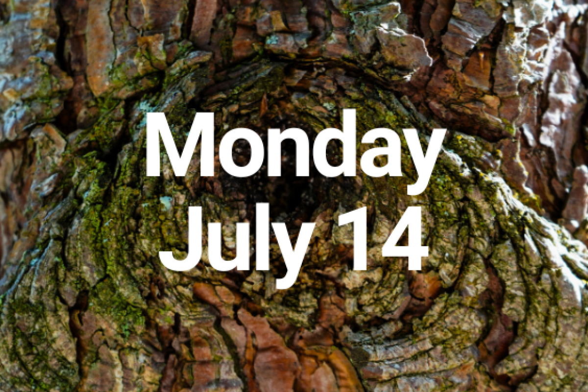 Monday, July 14