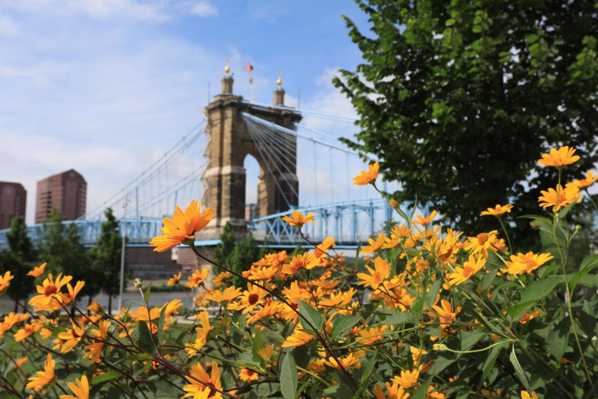 Cincinnati skyline
