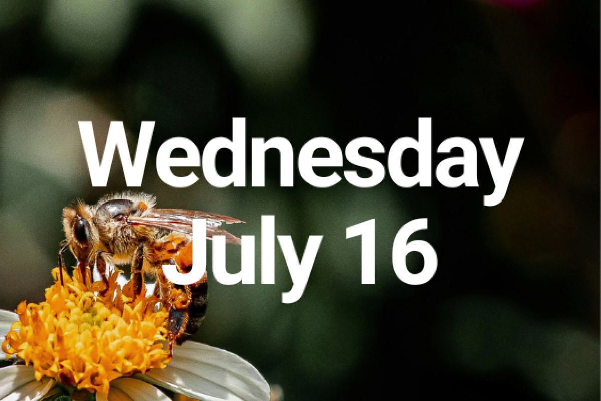 Wednesday, July 16